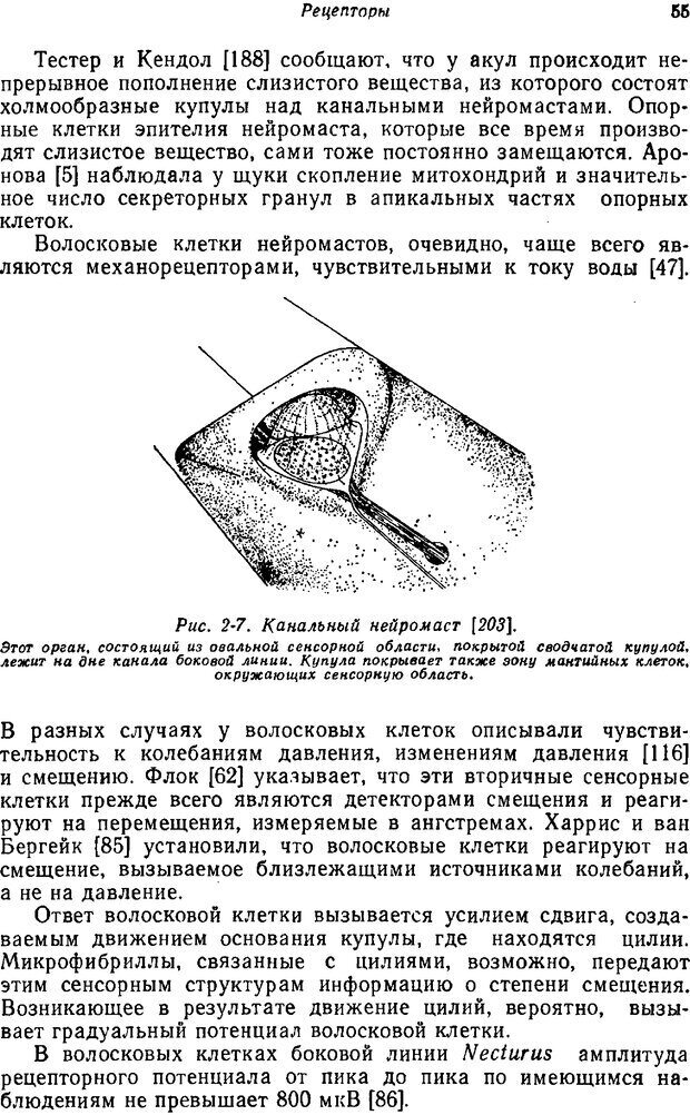 📖 PDF. Основы сенсорной физиологии. Тамар Г. Страница 54. Читать онлайн pdf