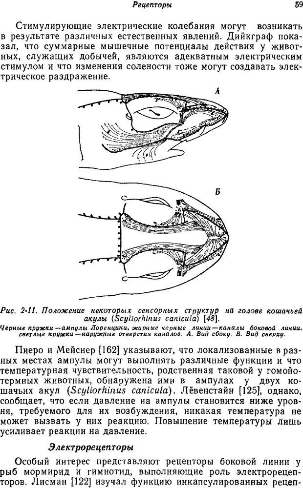 📖 PDF. Основы сенсорной физиологии. Тамар Г. Страница 58. Читать онлайн pdf