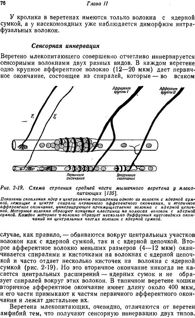 📖 PDF. Основы сенсорной физиологии. Тамар Г. Страница 75. Читать онлайн pdf