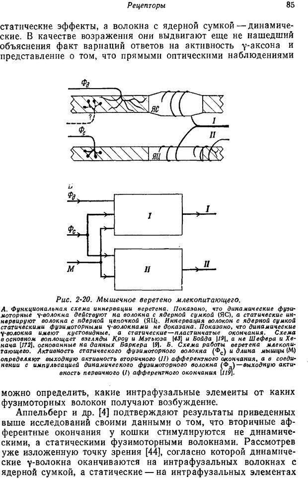 📖 PDF. Основы сенсорной физиологии. Тамар Г. Страница 84. Читать онлайн pdf