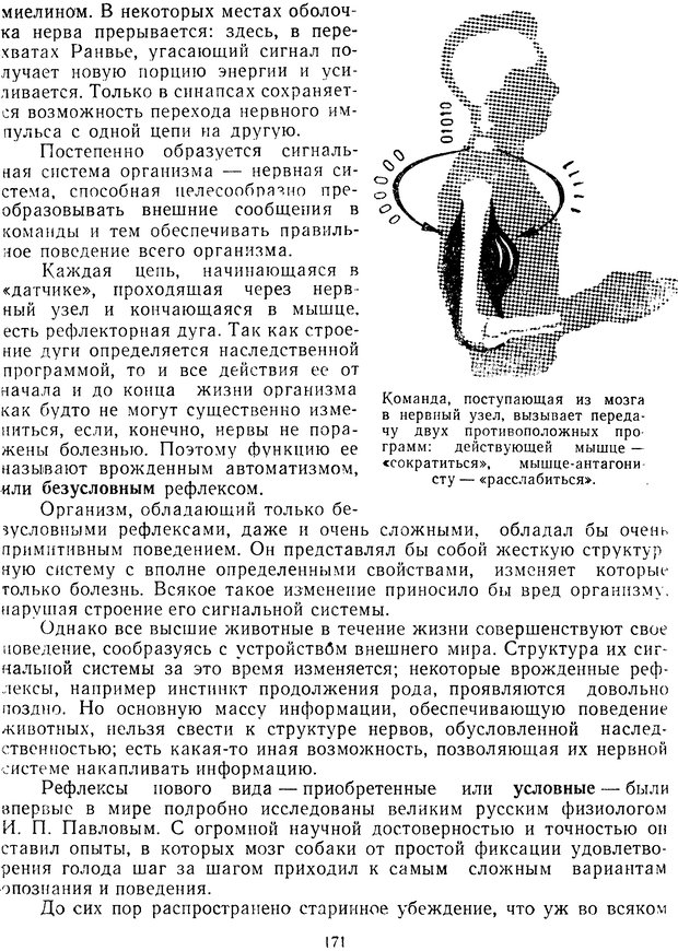 📖 DJVU. Очерки о кибернетики. Теплов Л. П. Страница 170. Читать онлайн djvu