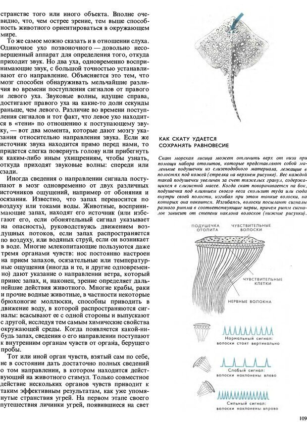 📖 DJVU. Поведение животных. Тинберген Н. Страница 109. Читать онлайн djvu