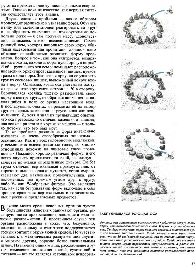 📖 DJVU. Поведение животных. Тинберген Н. Страница 37. Читать онлайн djvu