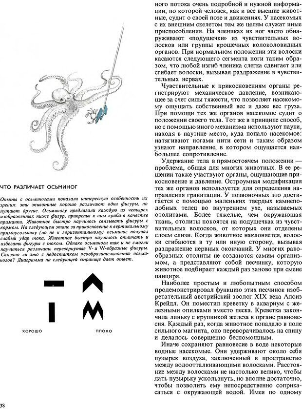 📖 DJVU. Поведение животных. Тинберген Н. Страница 38. Читать онлайн djvu