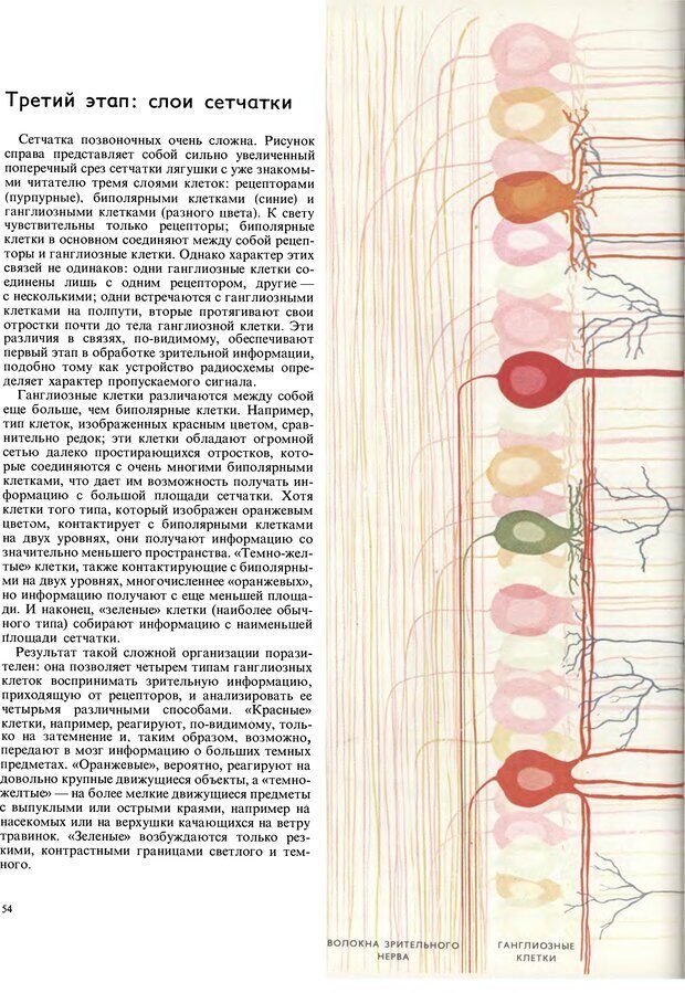 📖 DJVU. Поведение животных. Тинберген Н. Страница 54. Читать онлайн djvu