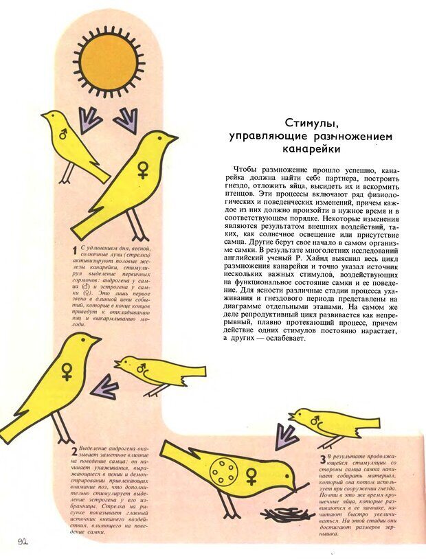 📖 DJVU. Поведение животных. Тинберген Н. Страница 92. Читать онлайн djvu