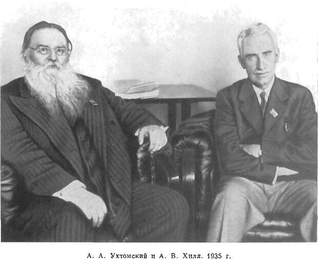 📖 PDF. Избранные труды. Ухтомский А. А. Страница 365. Читать онлайн pdf