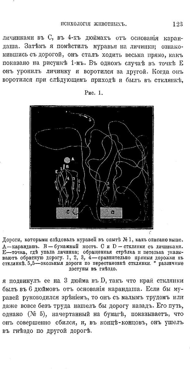 📖 PDF. Психология животных:
Популярные лекции. Вагнер  В. А. Страница 124. Читать онлайн pdf