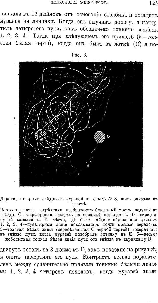 📖 PDF. Психология животных:
Популярные лекции. Вагнер  В. А. Страница 126. Читать онлайн pdf