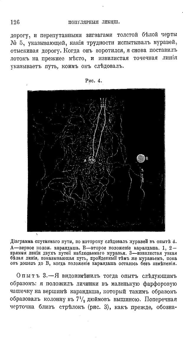 📖 PDF. Психология животных:
Популярные лекции. Вагнер  В. А. Страница 127. Читать онлайн pdf