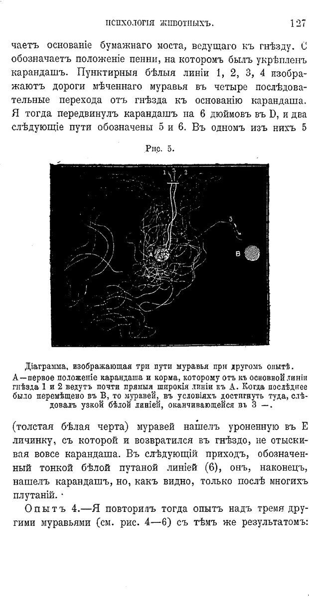 📖 PDF. Психология животных:
Популярные лекции. Вагнер  В. А. Страница 128. Читать онлайн pdf