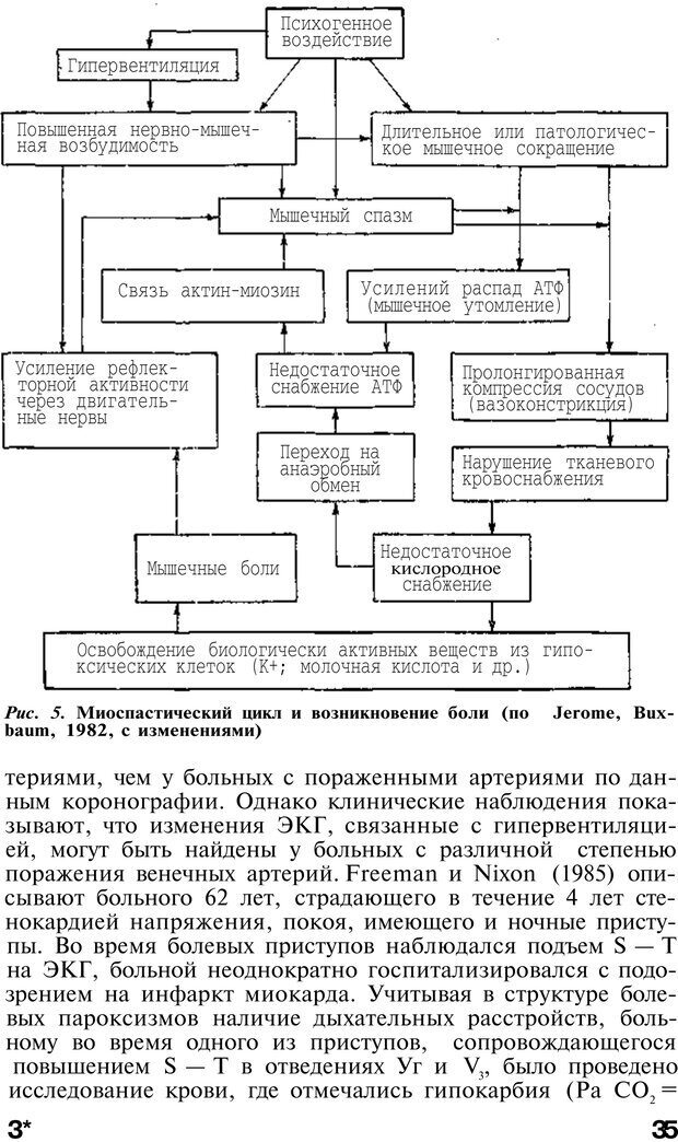 📖 PDF. Нейрогенная гипервентиляция. Вейн А. М. Страница 34. Читать онлайн pdf