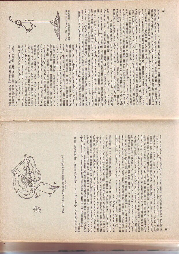 📖 PDF. Физиология высшей нервной деятельности и психология. Воронин Л. Г. Страница 57. Читать онлайн pdf