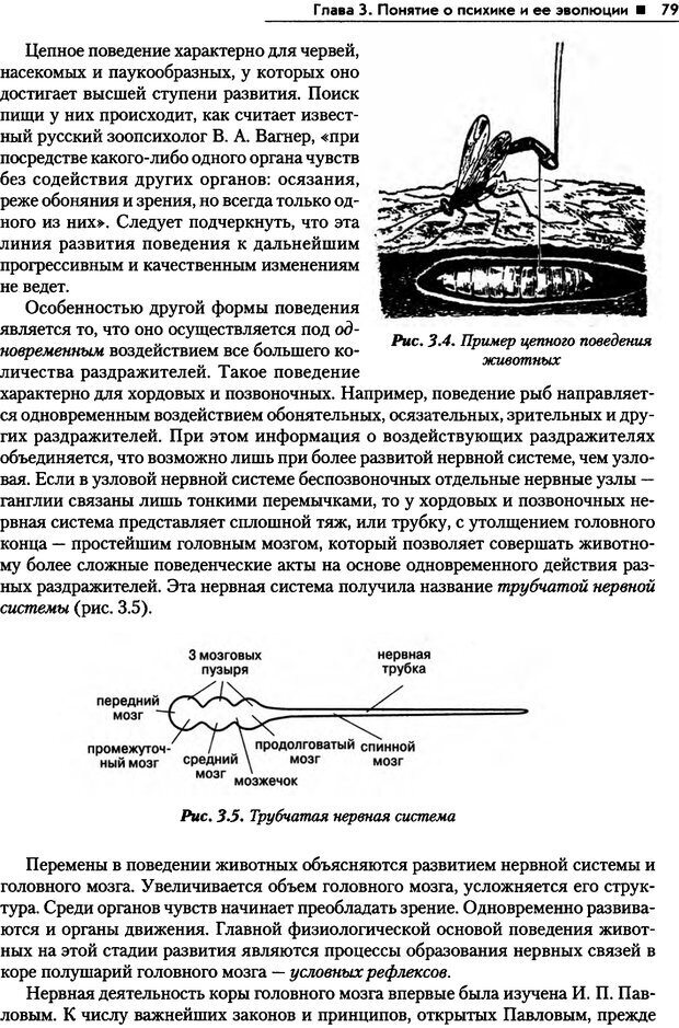 📖 PDF. Общая психология. Маклаков А. Г. Страница 79. Читать онлайн pdf