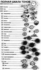 Николай Козлов: Синтон | Психология | Тренинги :: Человек отменяется,  Admin
